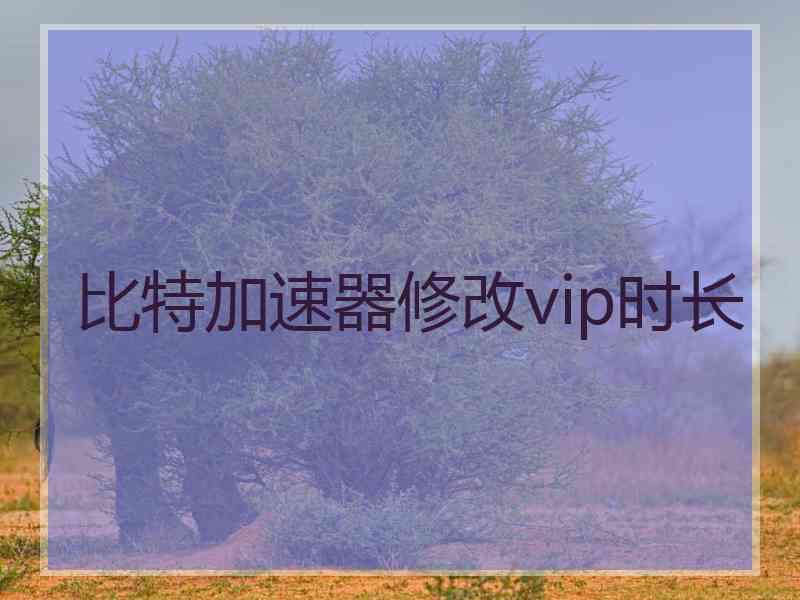 比特加速器修改vip时长